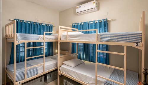 4 Bed Mixed Dorm (Shared Washroom)
