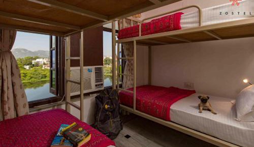 Bed in Deluxe 4-Bed Mixed Dormitory Room