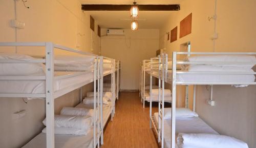 Bunk Bed in Mixed Dormitory Room