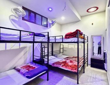 6-Bed Mixed Dormitory Room