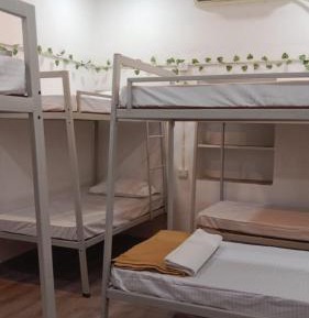 Bunk Bed in Mixed Dormitory Room