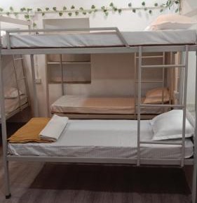 Bed in 8-Bed Mixed Dormitory Room