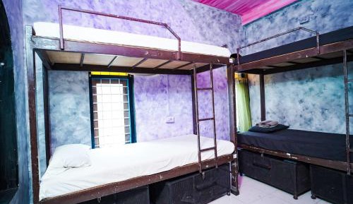 Bed in 6-Bed Mixed Dormitory Room