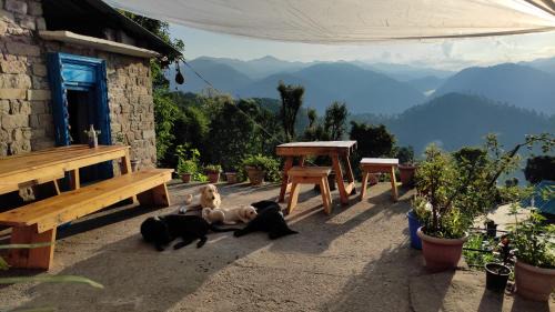 Double or Twin Room with Mountain View