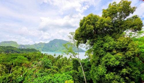 Two Bedroom Premium Villa with Free Roundtrip Lio Airport Transfers and Butler Service
