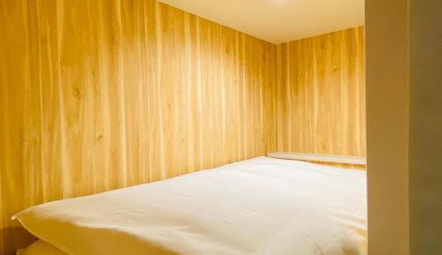 Bunk Bed in Mixed Dormitory Room